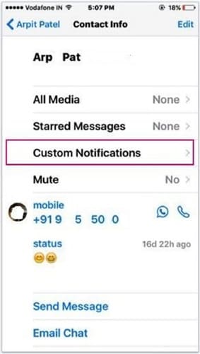 WhatsApp-Klingelton – Klicken Sie auf Benutzerdefinierte Benachrichtigungen
