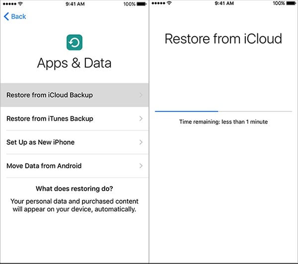 gendan iphone apps fra icloud backup