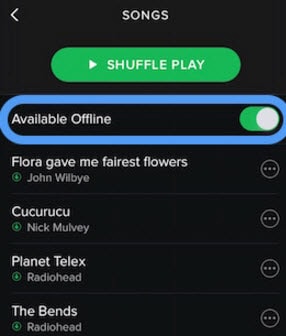 使用 Spotify 在 iPhone 上下載音樂