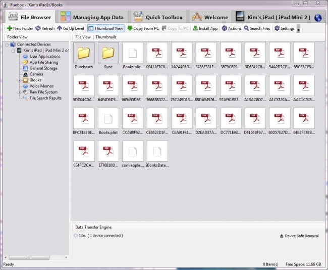 Přeneste PDF z iPadu do PC pomocí iFunbox – vyberte kategorii iBooks