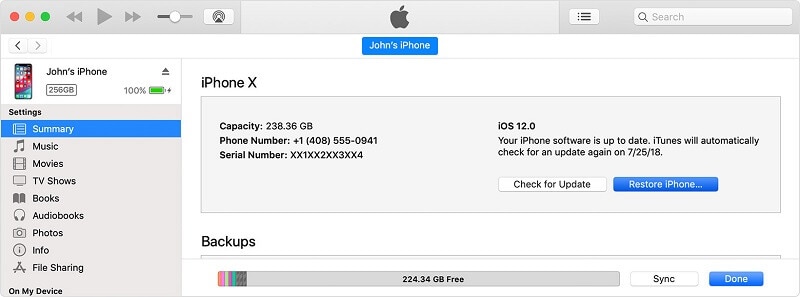 iPadAirをリセット-iTunesで復元