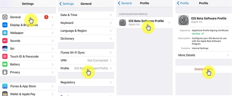 ta bort iOS 14 betaprofil