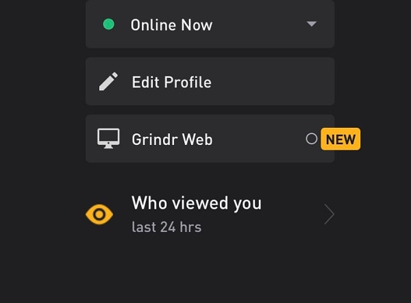 Grindr-webfunktion på app