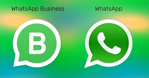 whatsapp business act trasfer