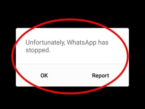 ios 12 whatsapp problemen en oplossingen-WhatsApp crasht op iOS 12