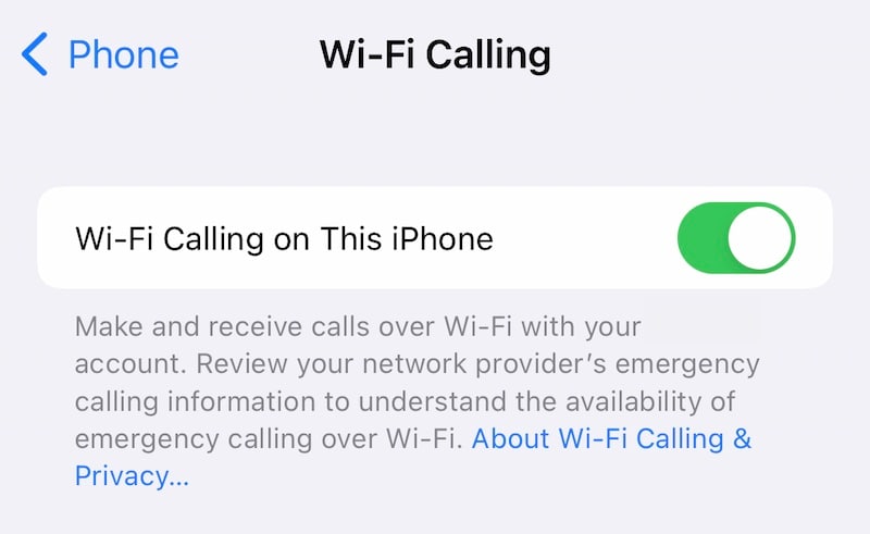 iOS에서 Wi-Fi 통화 활성화