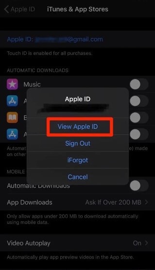 verwijder een Apple ID van een iPhone 2