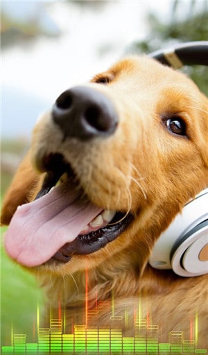 Aplicativos de toque para Android-Animal Sounds Toques gratuitos