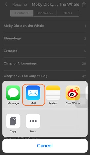 Överför böcker från iPad till dator med e-post - steg 2: Dela böcker till e-postmeddelandet