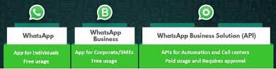 WhatsApp-бизнес-несколько пользователей 4